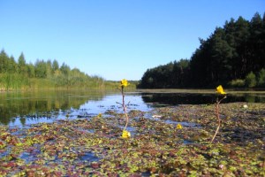 Сплав на катамаранах по Ворсклі